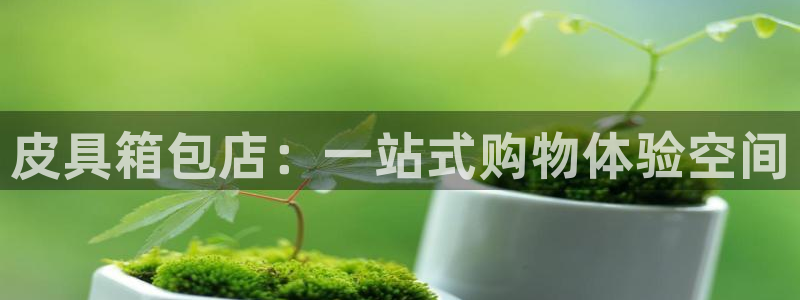 辉达平台注册入口