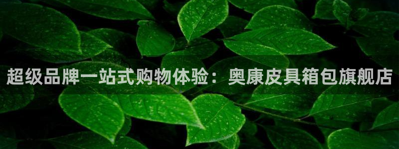 辉达娱乐属于什么档次