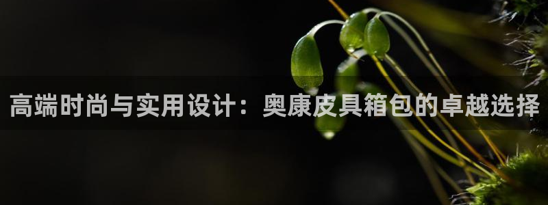 正规辉达娱乐平台